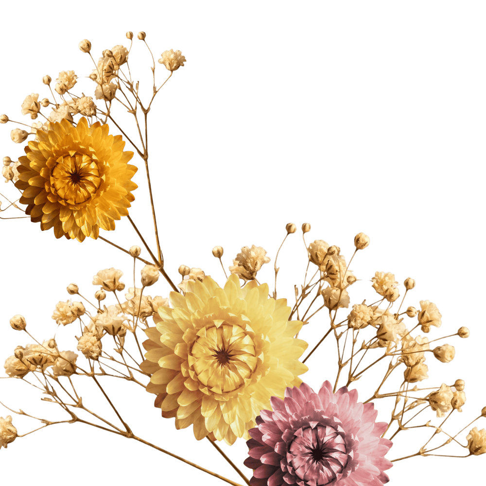 A custom AI generated floral vignette created by a prompt from Bijoux Chat's blog owner, Diana for the enrichment of the post.